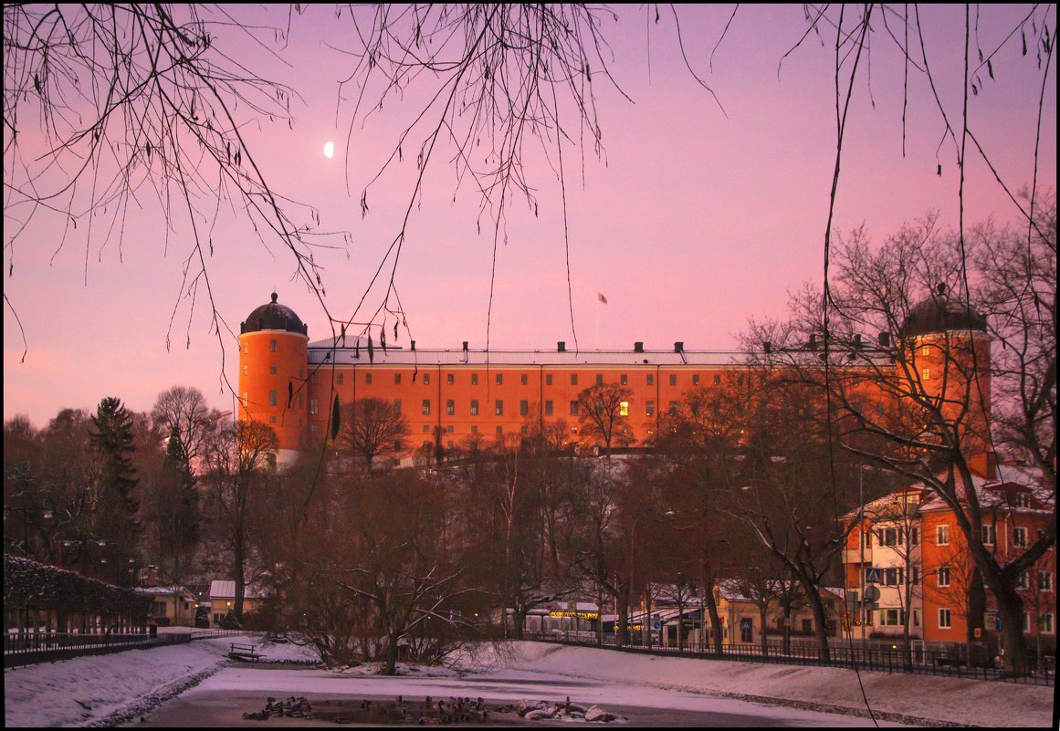 Uppsala slottet - liudmila drake