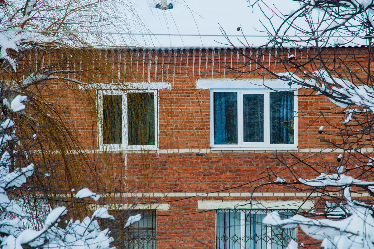 Холодные окна - Олеся Енина