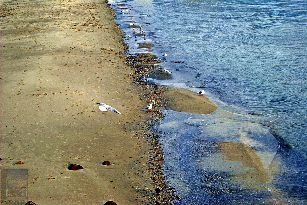 прогулки к морю - Александр Корчемный