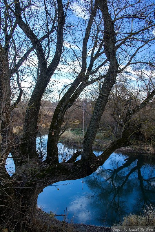 Река Серёна в ноябре - Izabel 