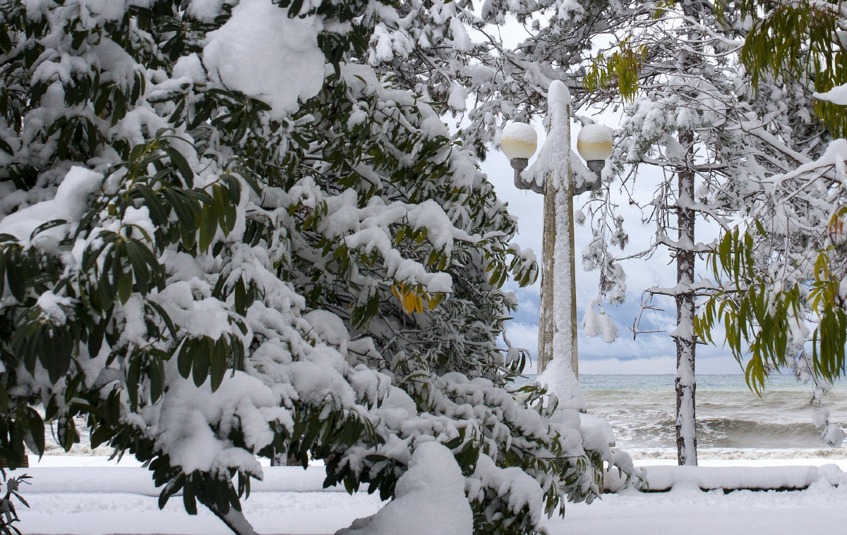 Фонарный столб в снежном наряде - Анна Тесликова