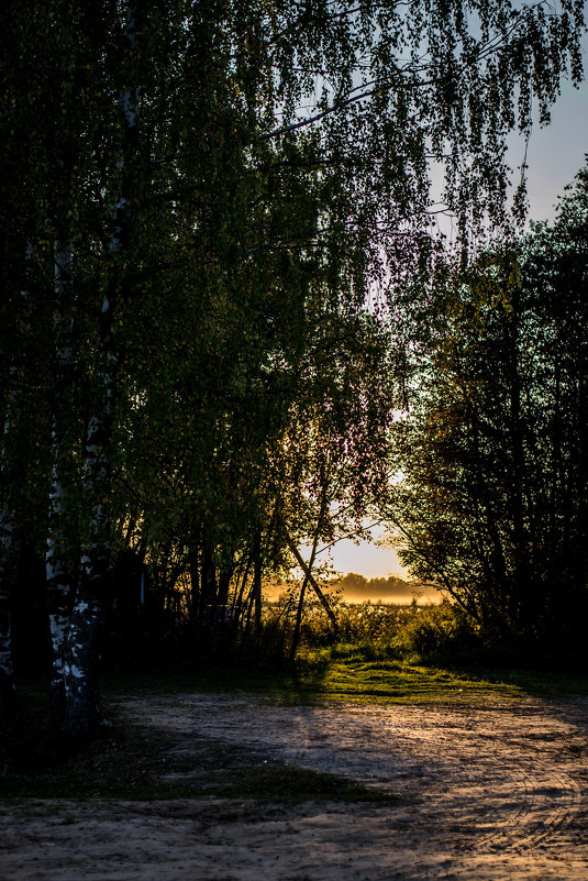 Закат в деревне - Дмитрий 