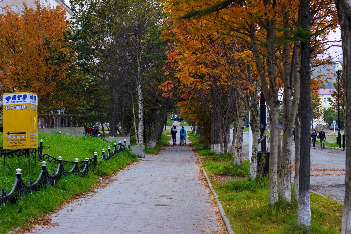 Осень в городе. - Koch 