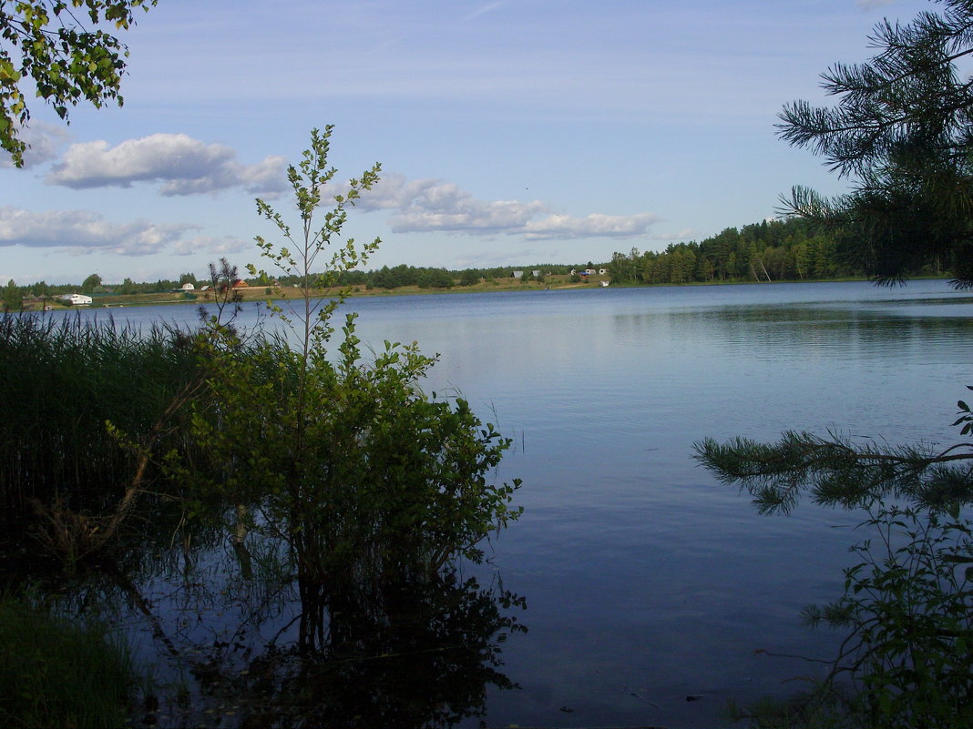 Озеро Белое - Виктор Мухин