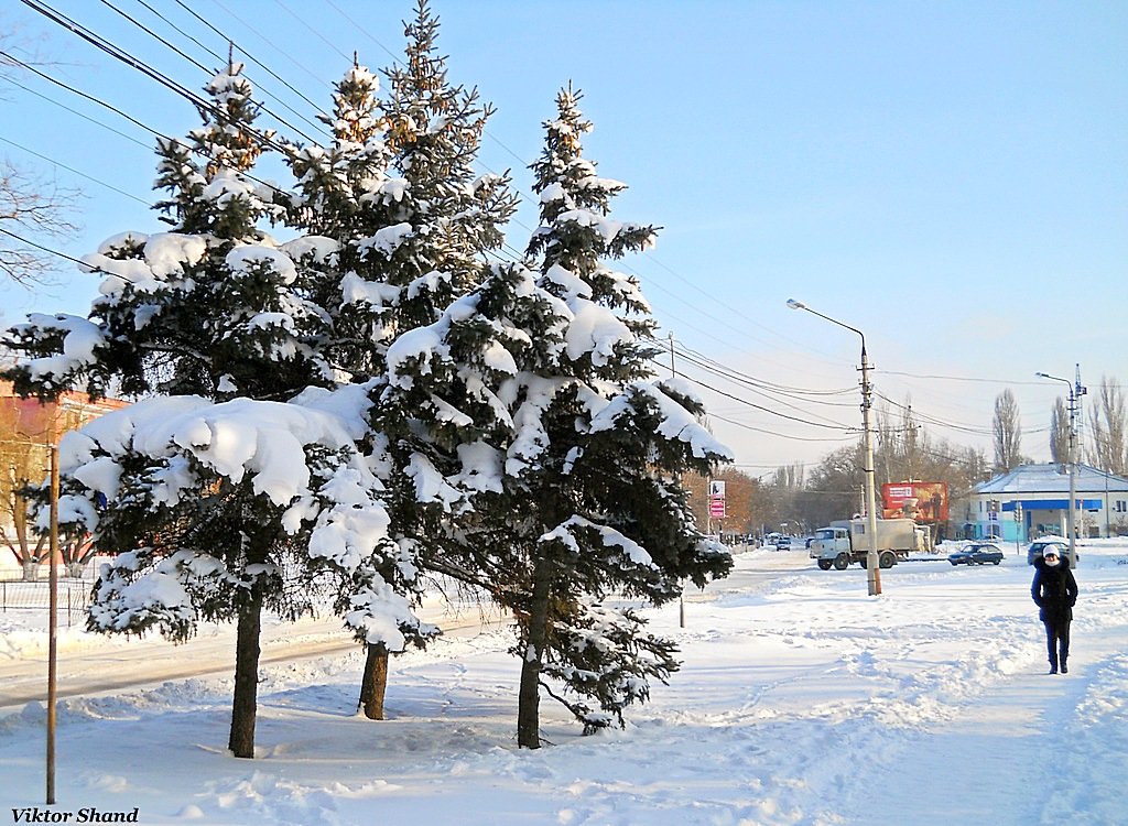 Зима - Виктор Шандыбин