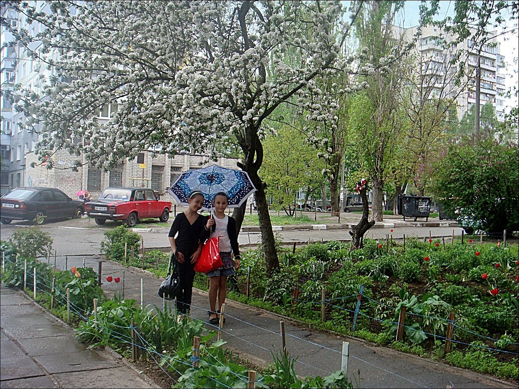 Под весенним   дождиком - Нина Корешкова