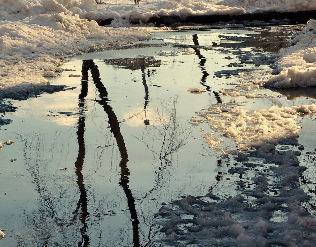 Таяние снега - Raisa Ivanova
