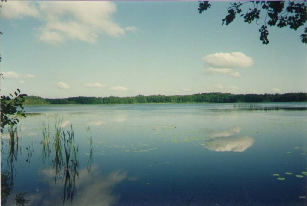 Озеро Ярмол - Виктор Мухин
