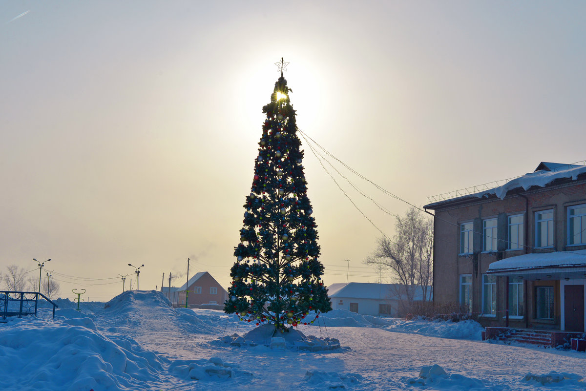 Январское утро в деревне - Oleg Goman