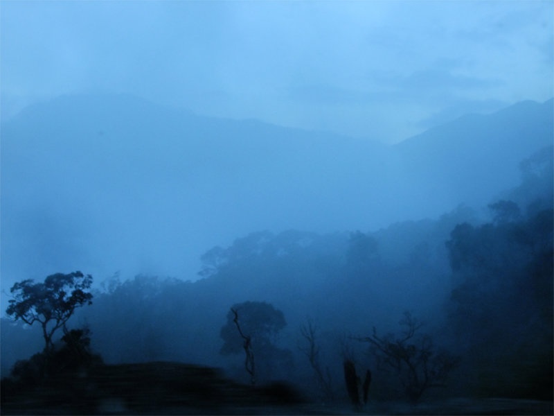 Синий туман - Андрей 