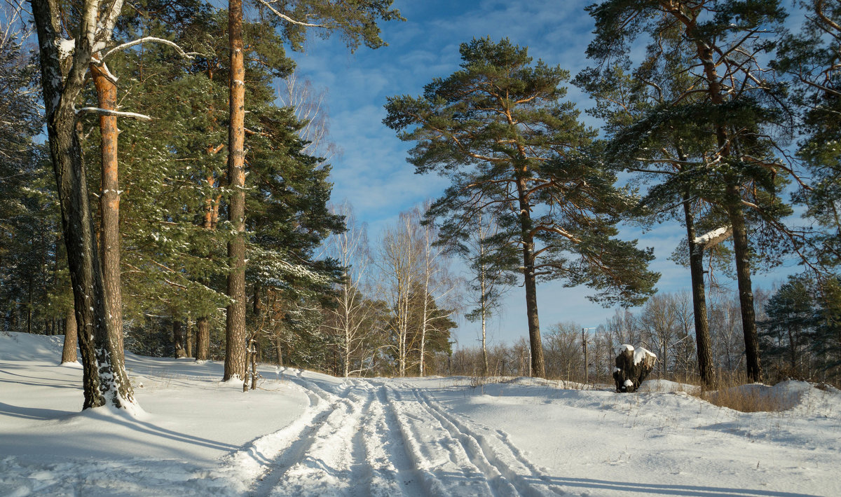 Зимний пейзаж - Олег Козлов