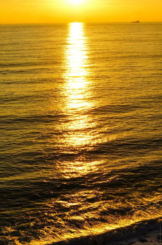 Золотое Море Фото