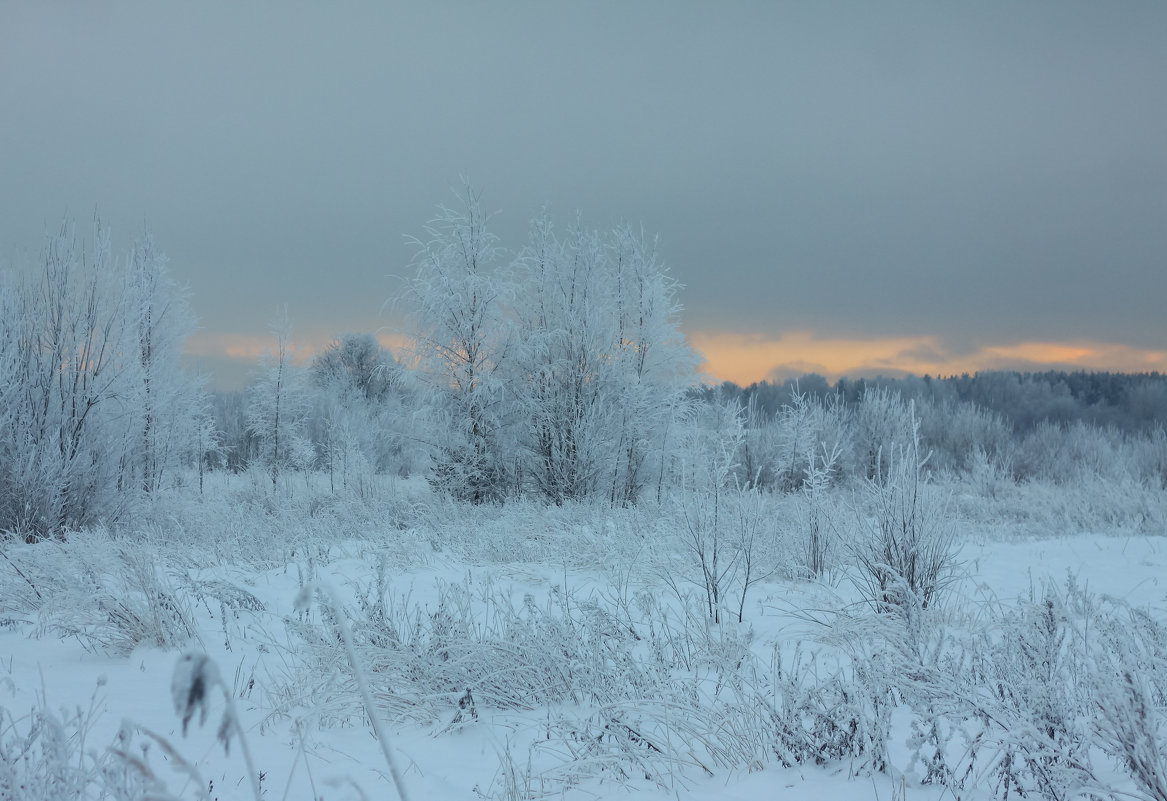 Зимний пейзаж - Денис Матвеев