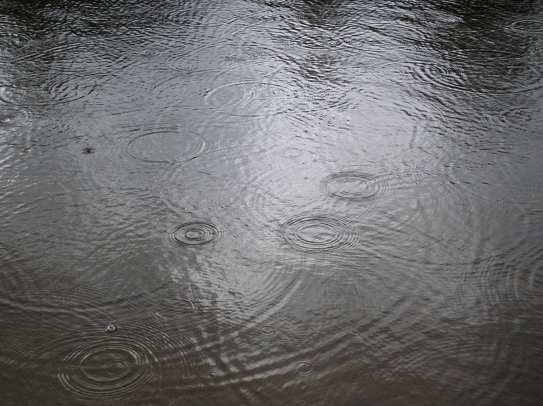 Дождь на реке - Булаткина Светлана 