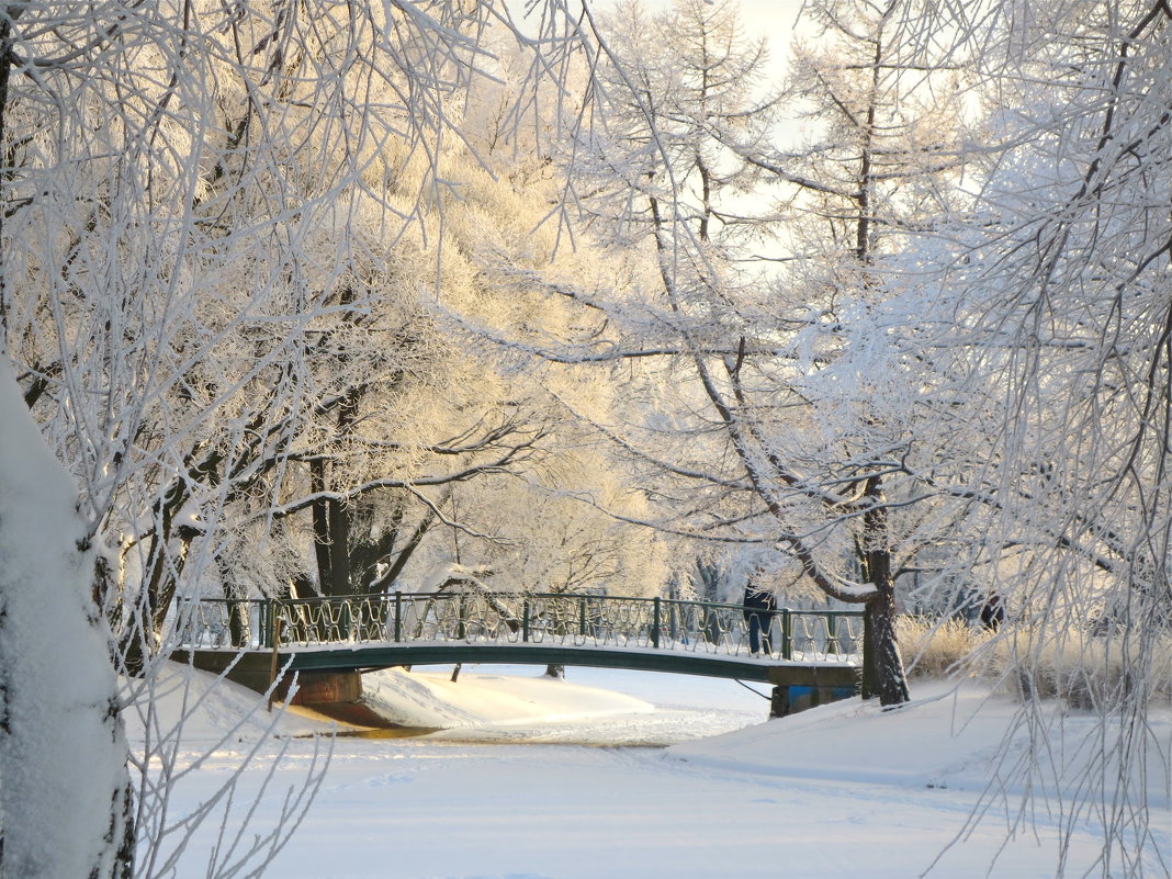мостик в  зимнем парке - Елена 