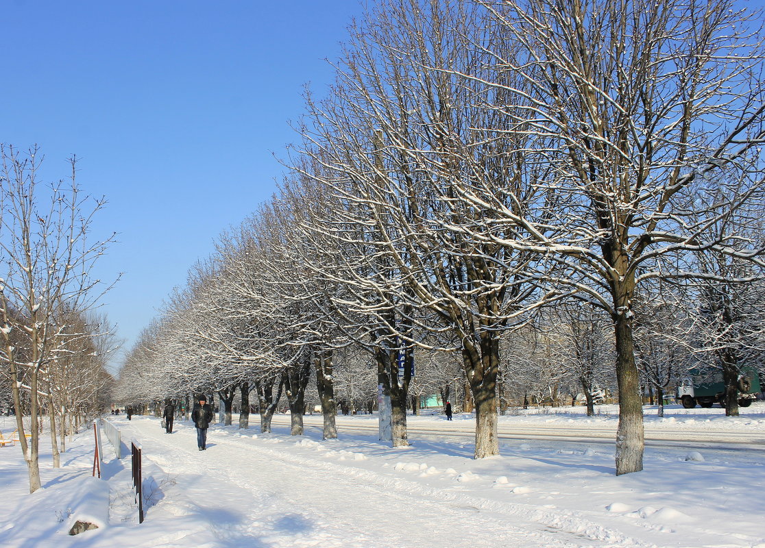 Скользя  по тротуару зимнему... - Валентина ツ ღ✿ღ