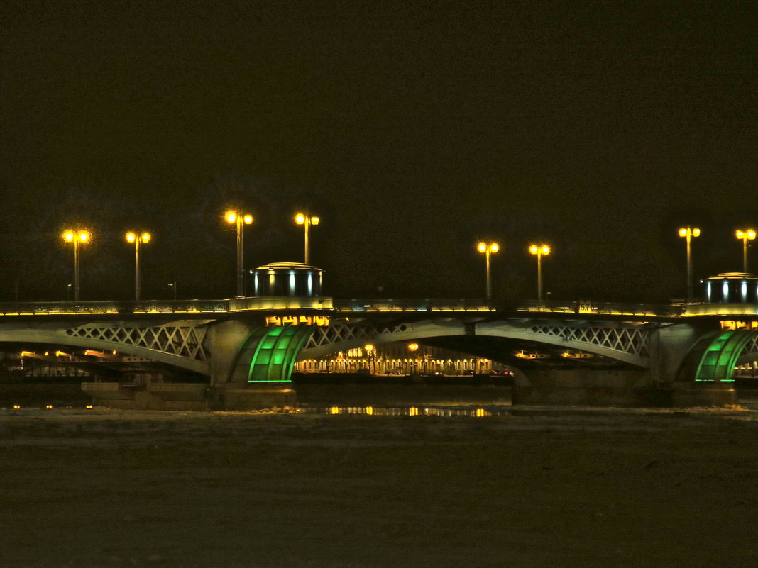 Благовещенский мост ночью - Елена 