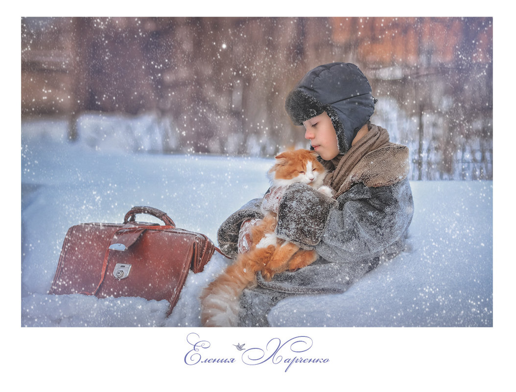 Холодные коты - Еления Харченко