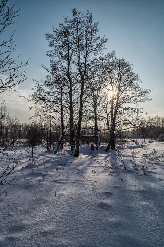 Пейзаж зимний - Андрей Дворников
