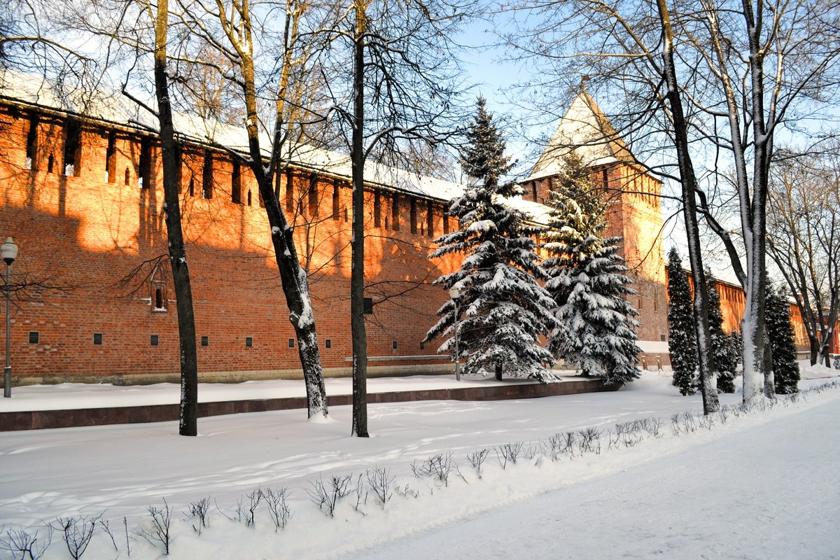Смоленск в январе 2016 - Милешкин Владимир Алексеевич 