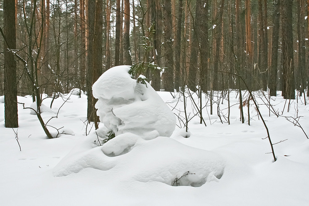 Снежные человеческие скульптуры в лесу - Валерий. Талбутдинов.
