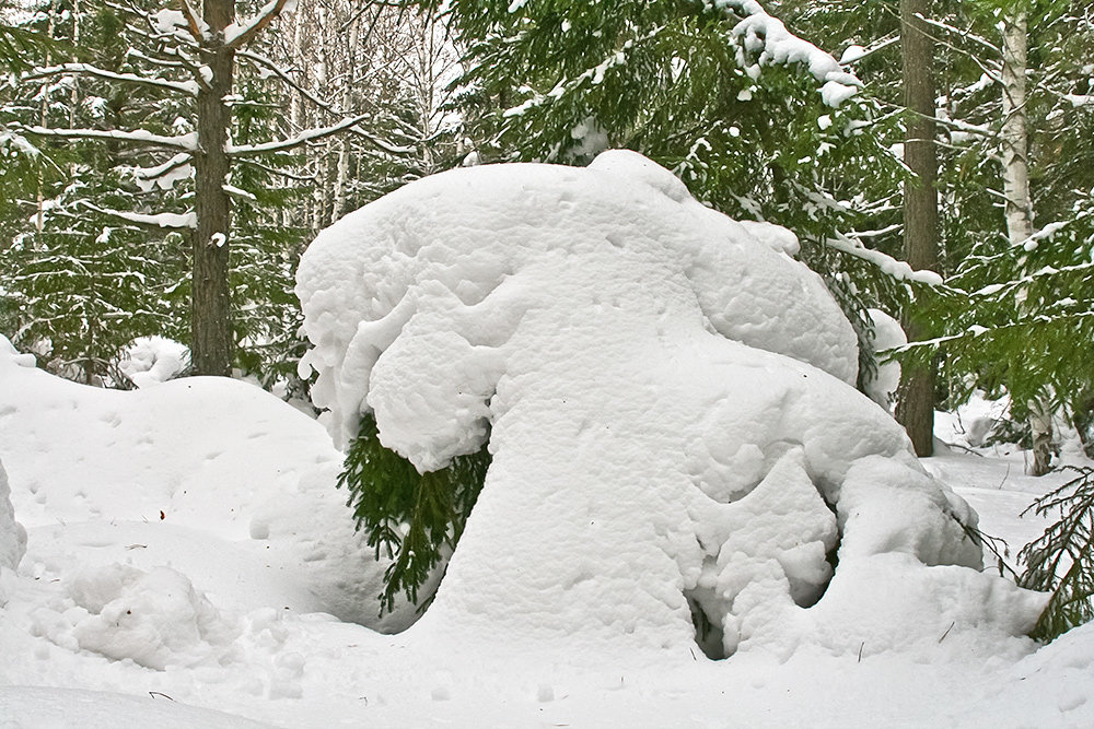 Снежные человеческие скульптуры в лесу - Валерий. Талбутдинов.