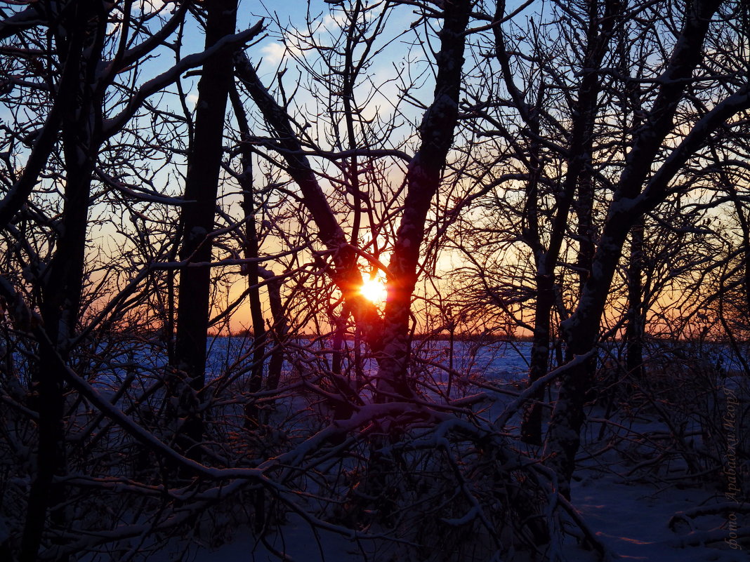 Закат зимнего дня - Igor Arabadzhy