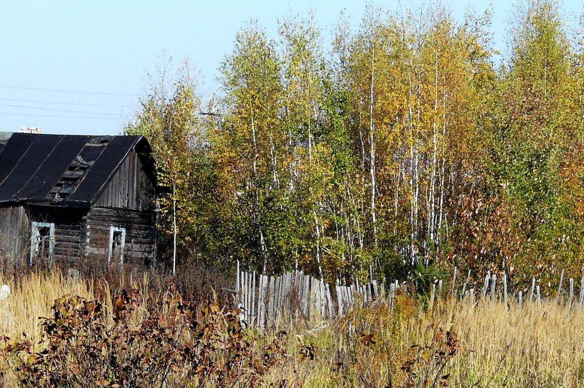 запустение - Леонид Натапов