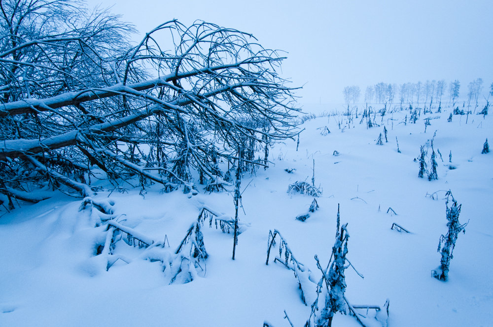 Зима - Илья Любименко