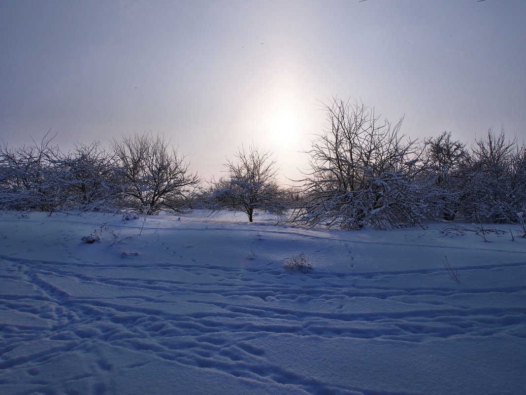 Экскурсия в Гадюкино зимой (8) - Александр Резуненко