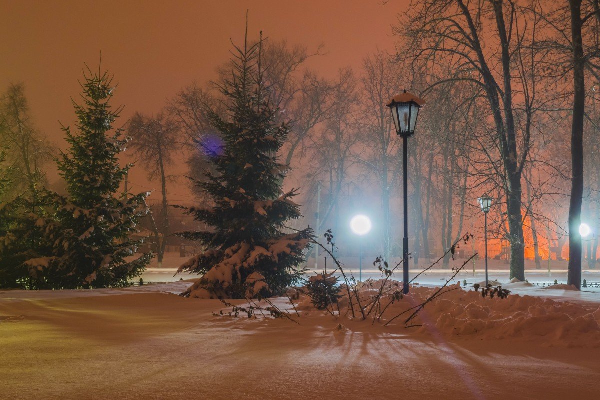 Луч света в зимнем парке - Сергей Корнев