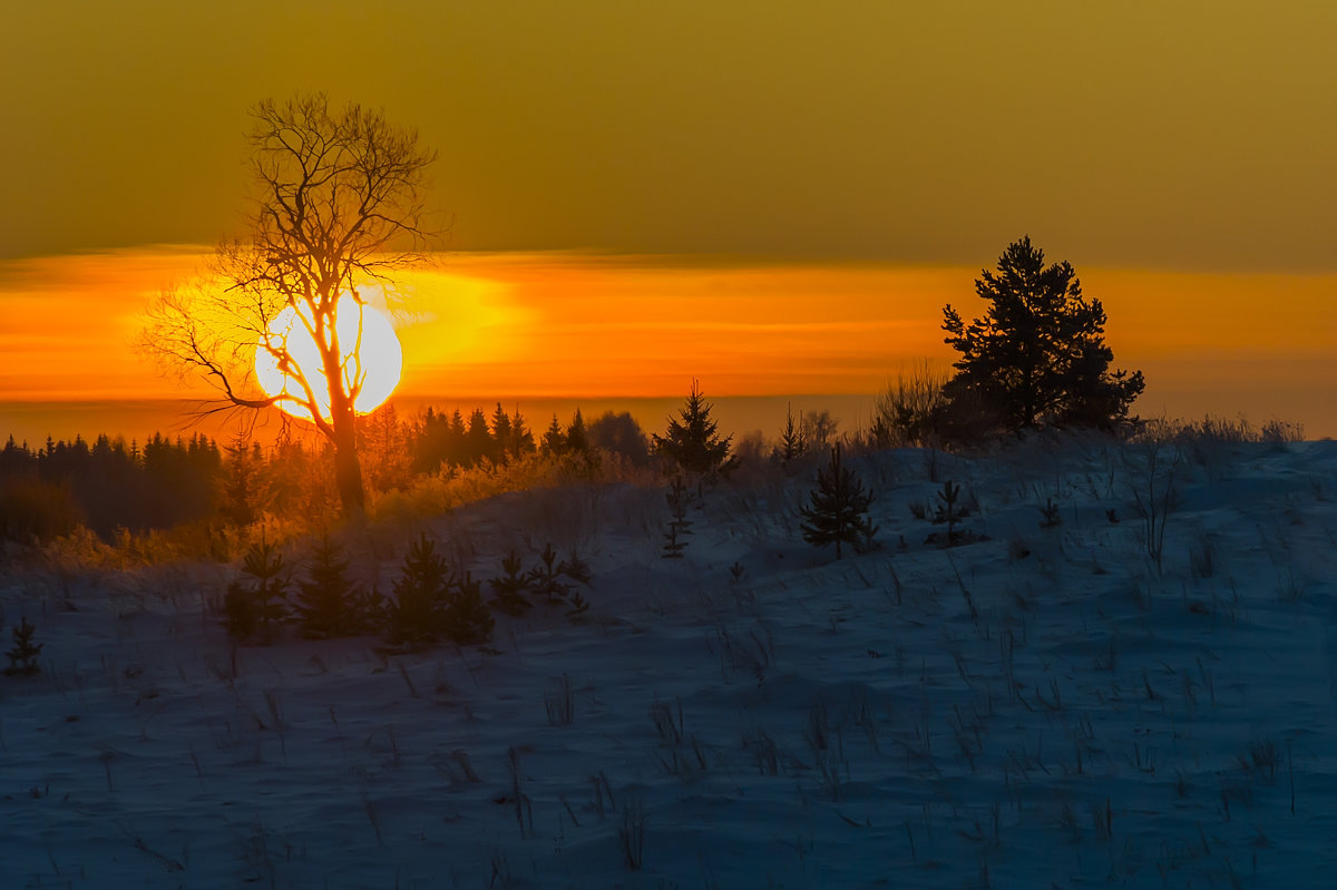 Закат морозной зимой - Дмитрий Царапкин