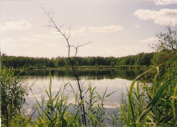 Озеро Верхнее - Виктор Мухин