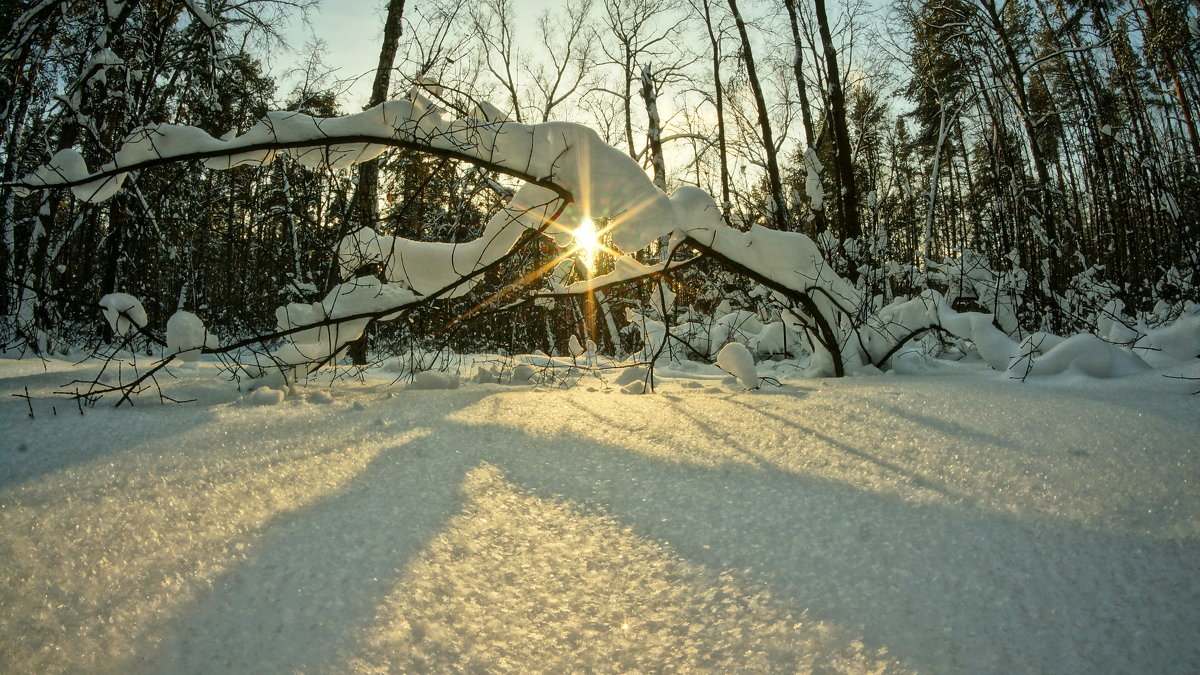 Солнце на снегу - Фролов Владимир Александрович 