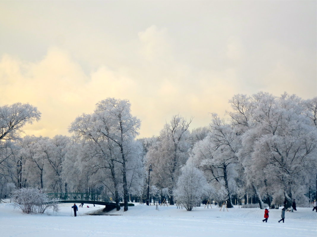 зимний парк - Елена 