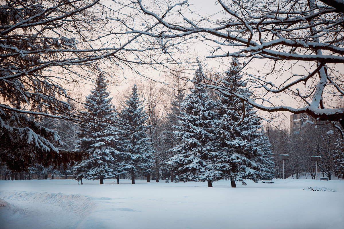 Зима в Украине - Лариса 