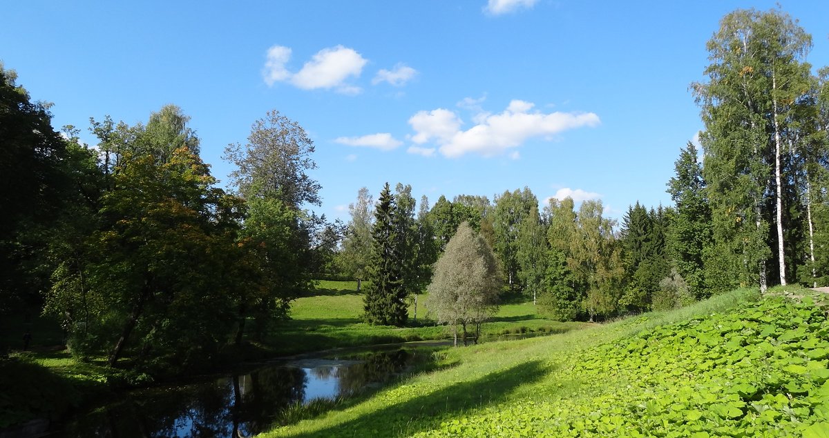 Павловск - Наталия Короткова