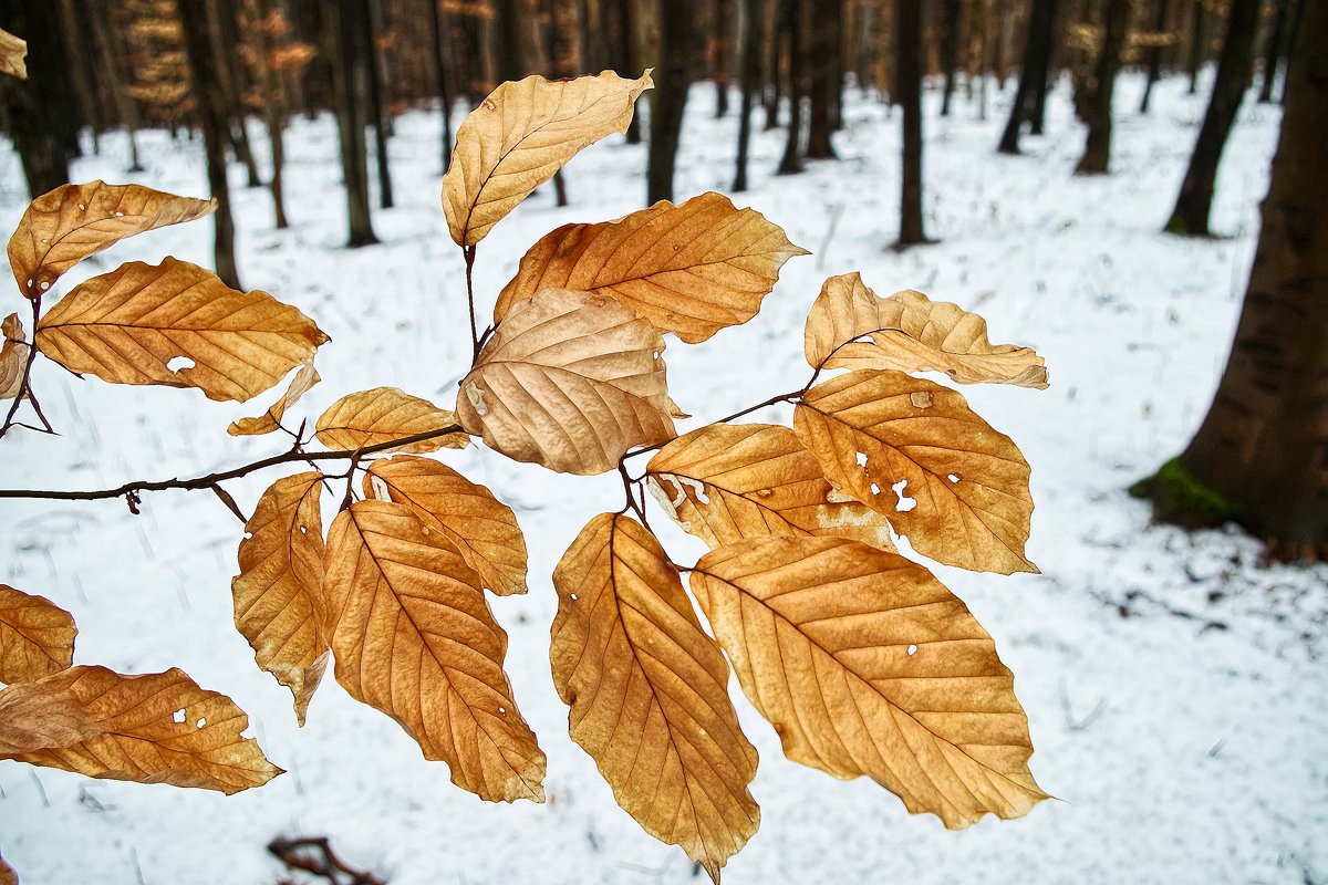 ... - юрий иванов