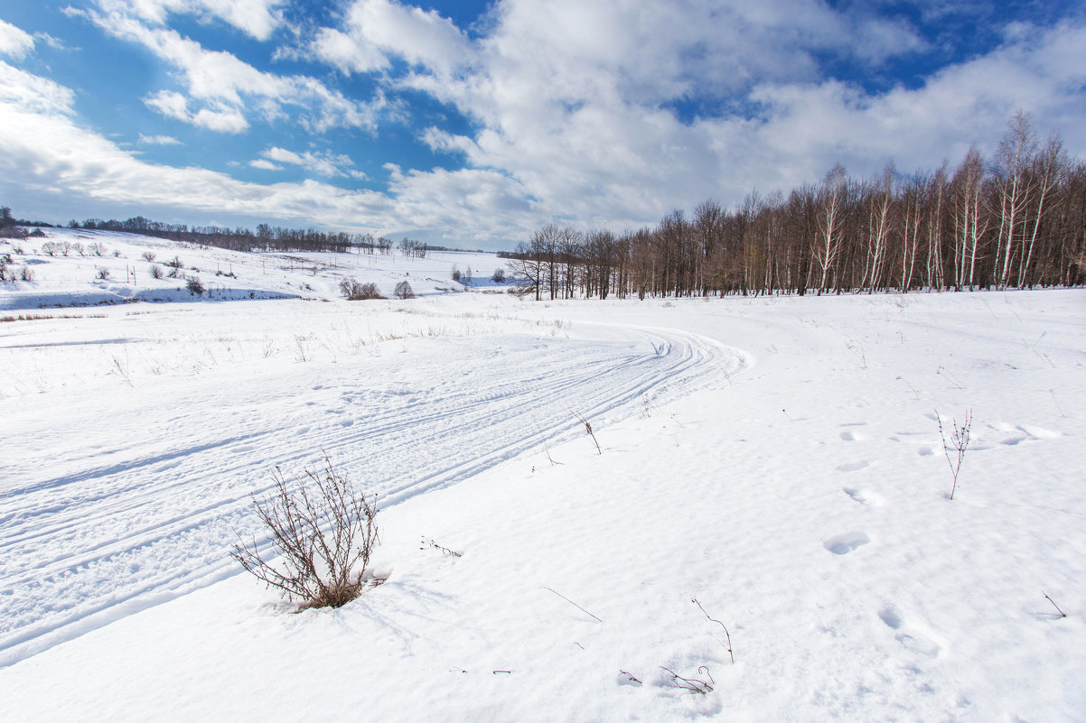 *** - Dmitriy Martynenko