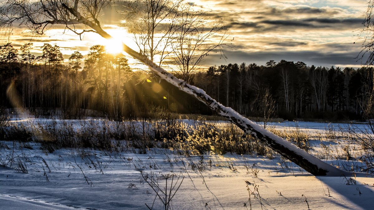 sunset in winter - Dmitry Ozersky