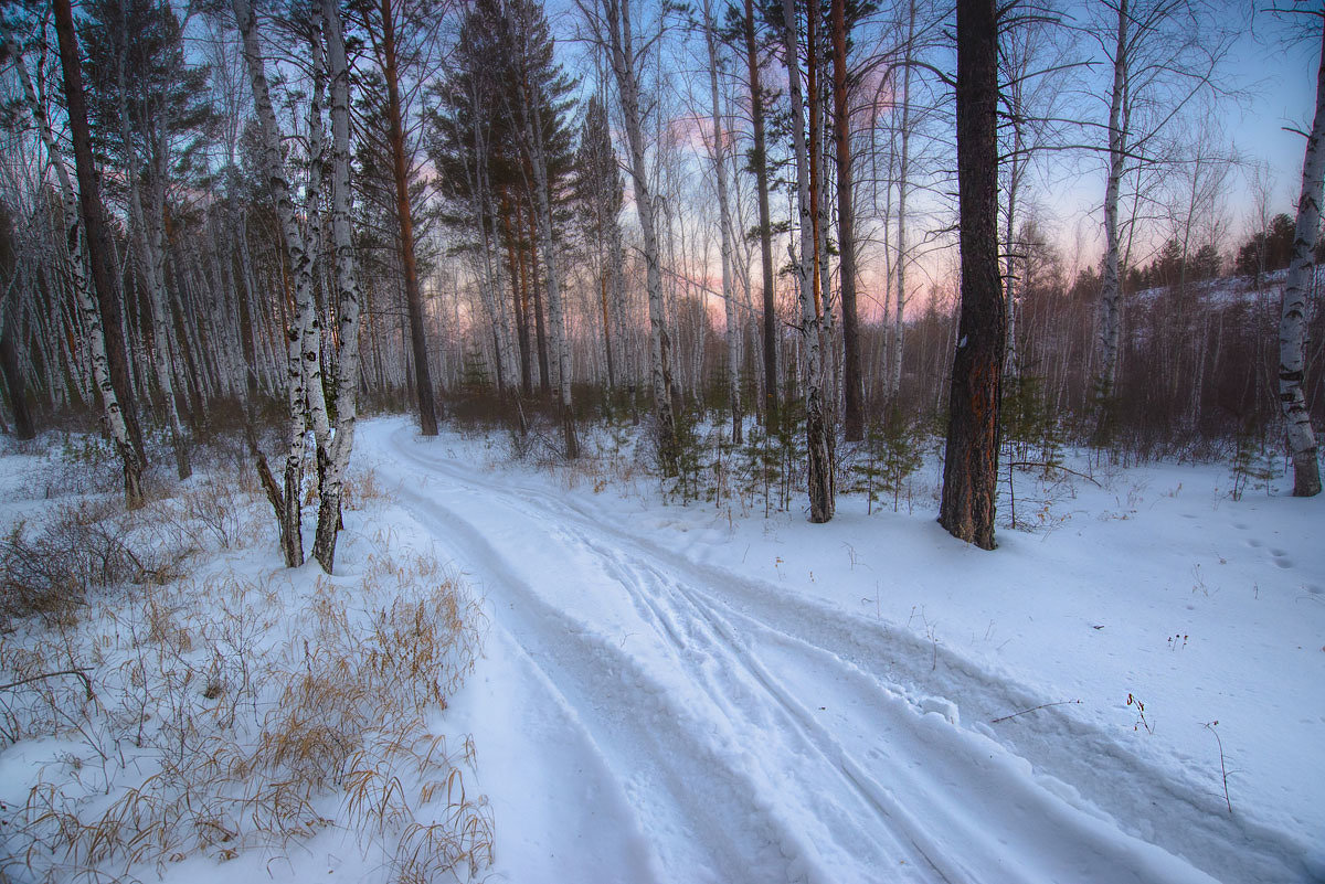Февральское утро в лесу - Сергей Брагин
