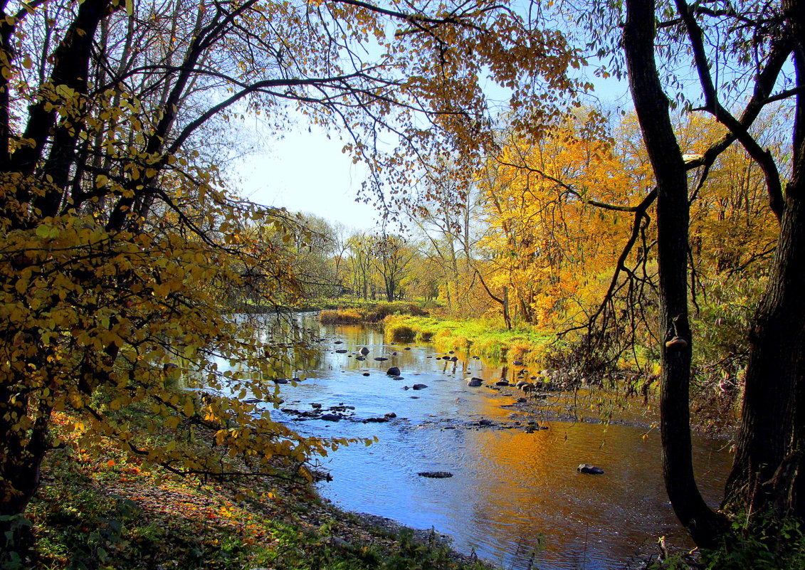 Осенью у реки - Leonid Tabakov