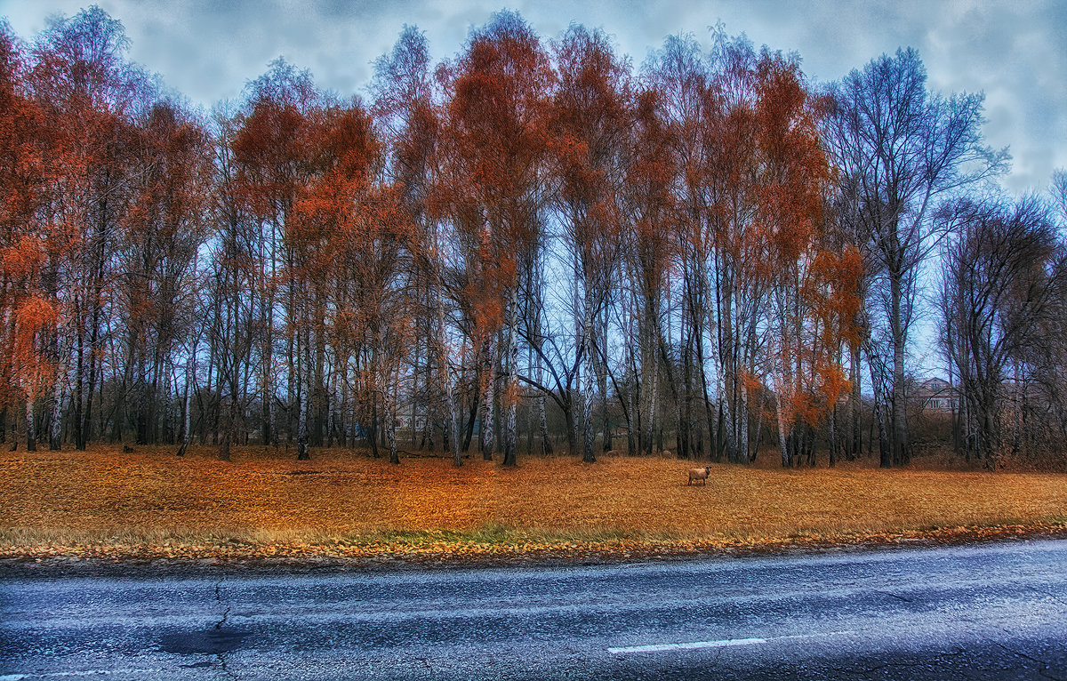 Осенние сумерки - Сергей 