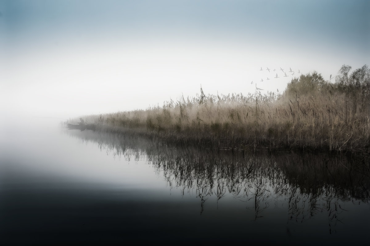Озеро в тумане - Михаил Александров
