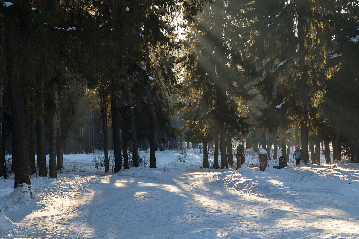 Чудесный зимний день - Леонид Никитин