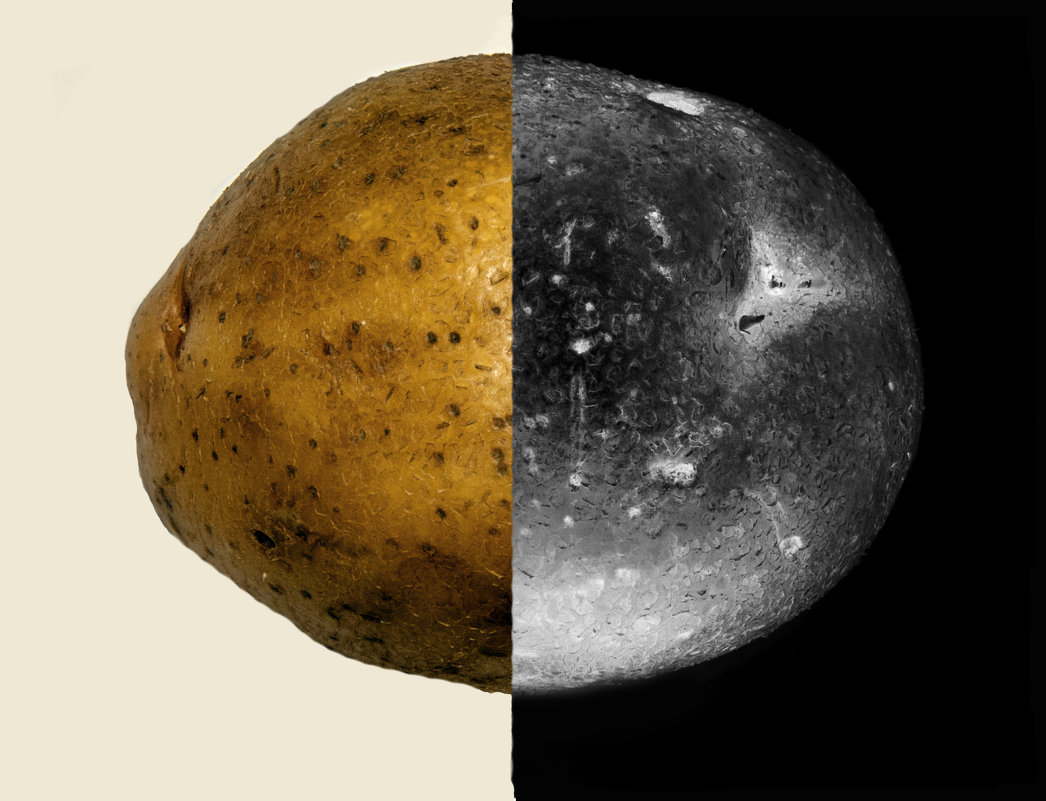 NGC. Asteroid potatoes - Валерьян Бек (Хуснутдинов)