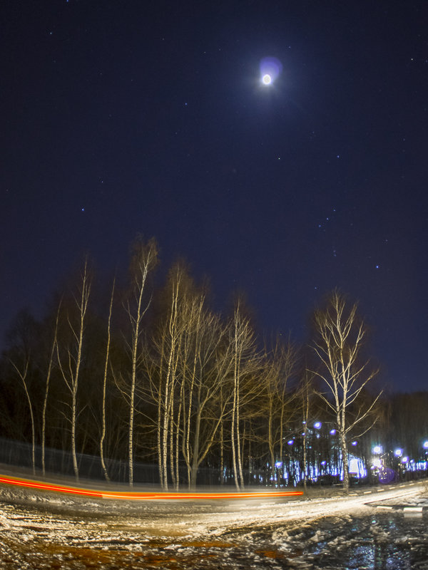Ночной пейзаж с березками, Луной и следами машин - Андрей Попов