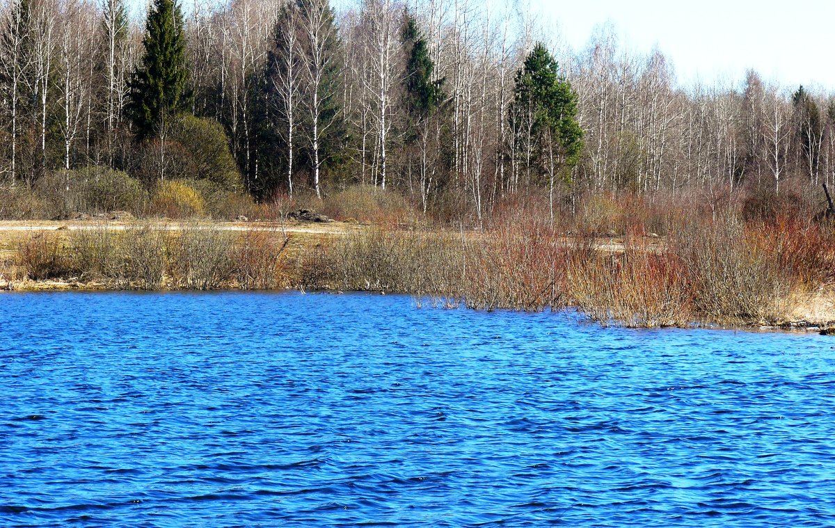 озеро - Леонид Натапов