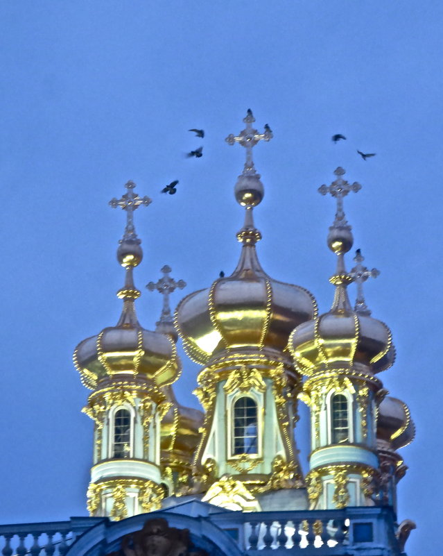 купола с птицами - Елена 