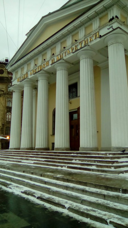 Музей "Арктики и Антарктики" в Санкт-Петербурге. - Светлана Калмыкова